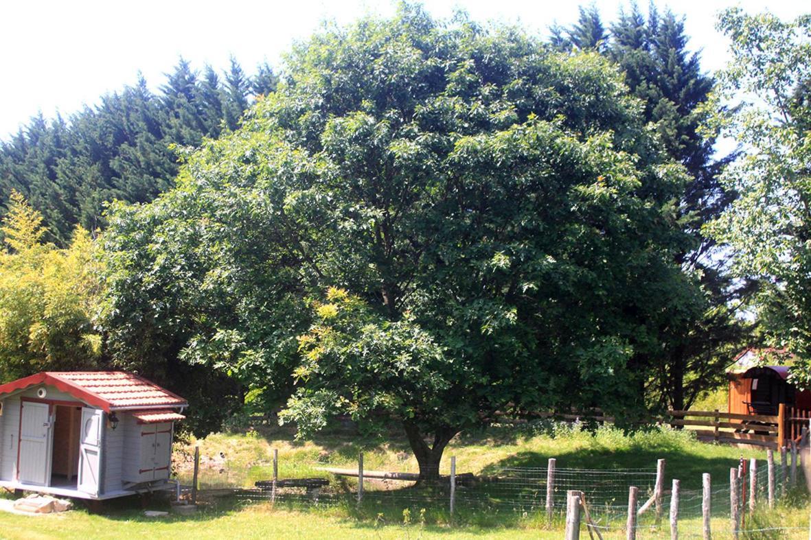 فندق Roulotte Irlandaise Polly Saint-Vincent-en-Bresse المظهر الخارجي الصورة