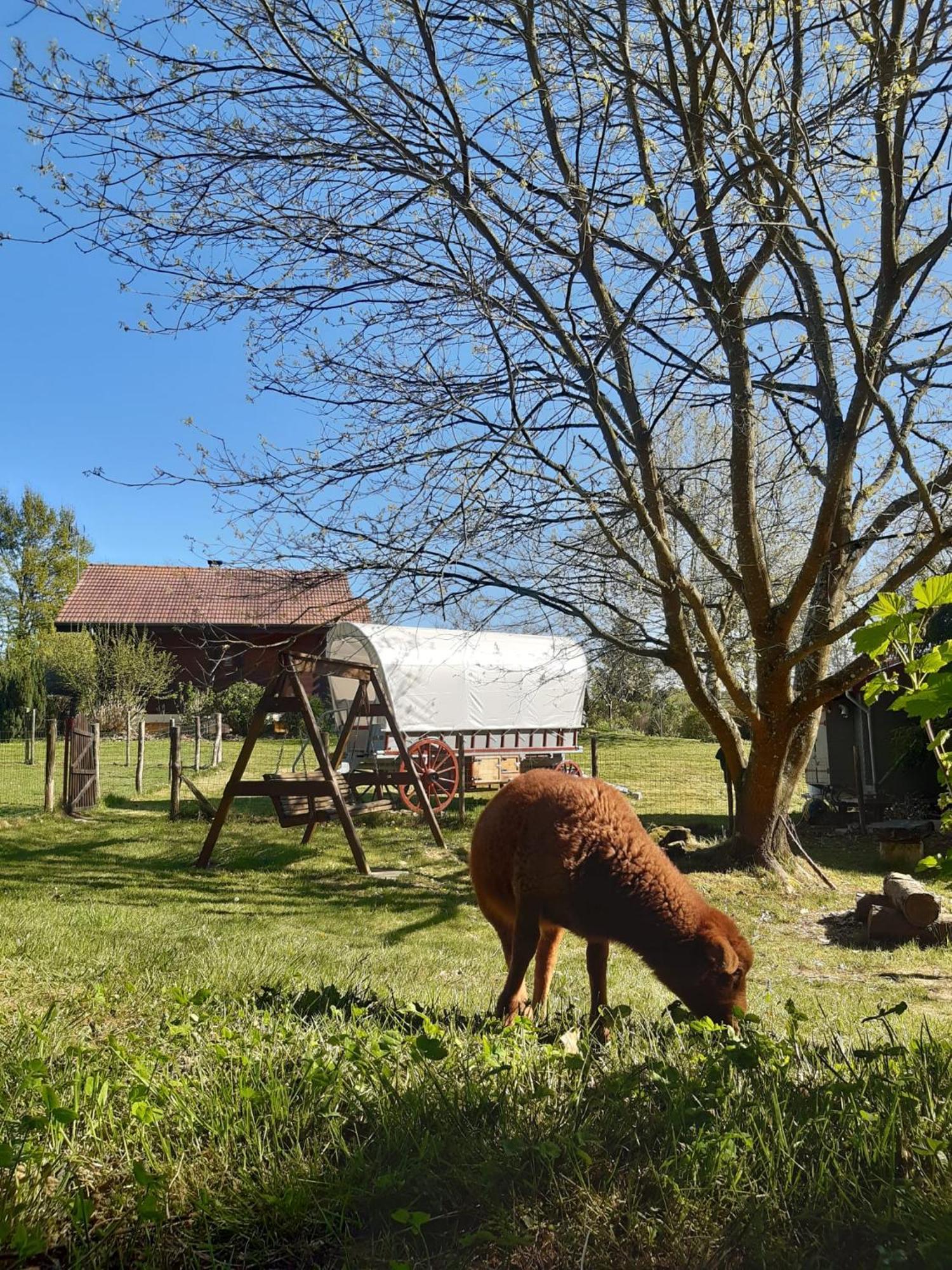 فندق Roulotte Irlandaise Polly Saint-Vincent-en-Bresse المظهر الخارجي الصورة