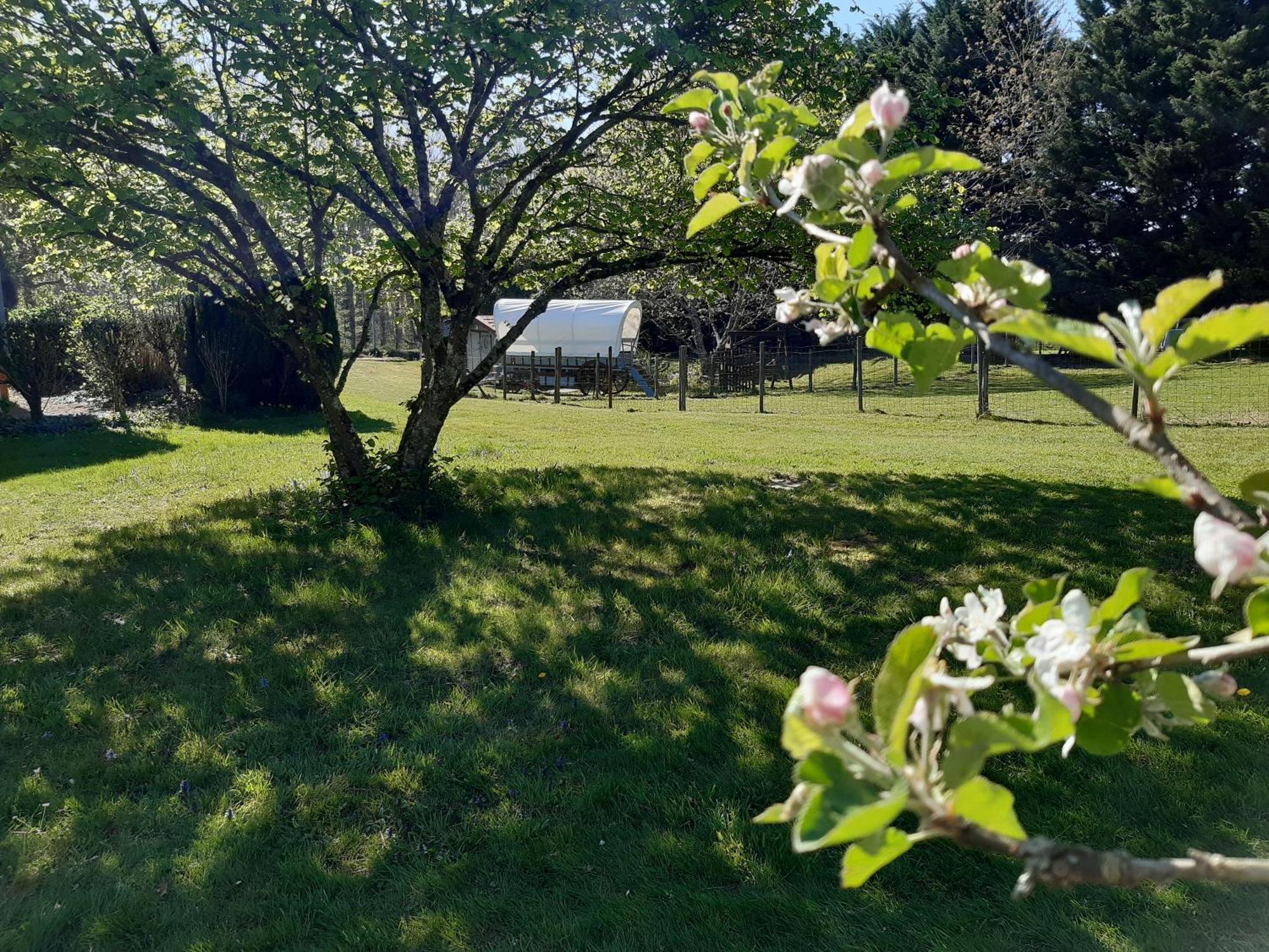 فندق Roulotte Irlandaise Polly Saint-Vincent-en-Bresse المظهر الخارجي الصورة